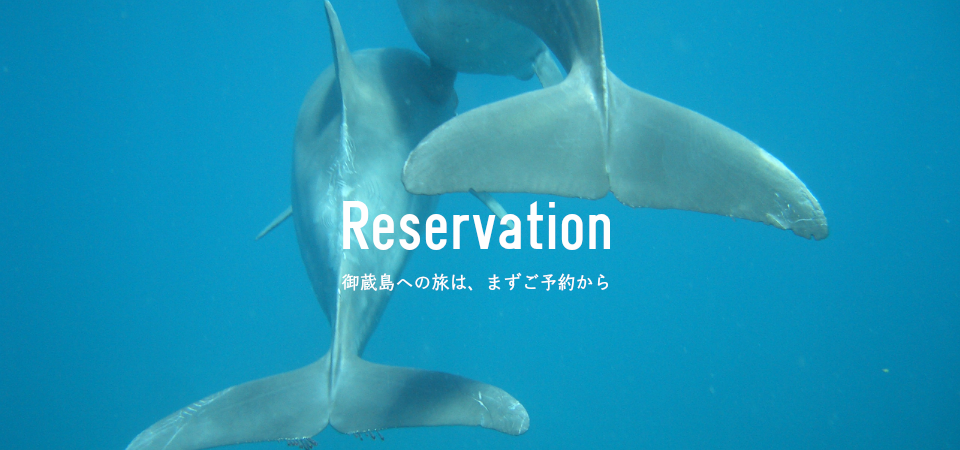 Reservation Of 御蔵島ドルフィンスイム船 海豚人丸